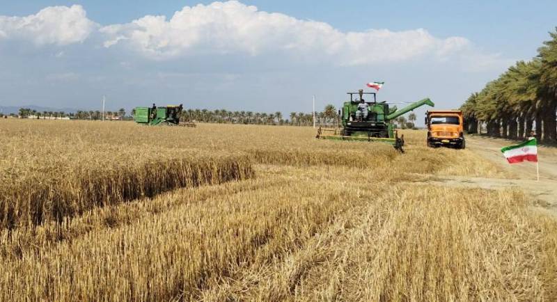 شرکتی که در الگوی کشت و اجاره زمین صدای دولت و مجلس را درآورد